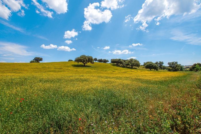 Alaentejo