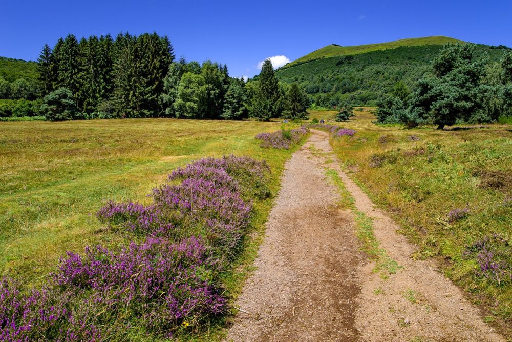 Landschap Auvergen