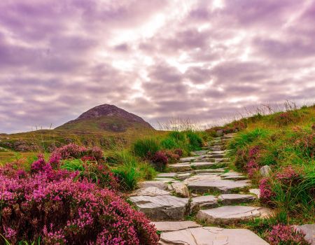Berglandschap Ierland