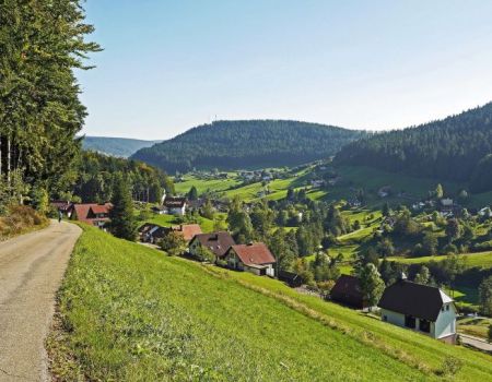 Een weg in Baiersbronn