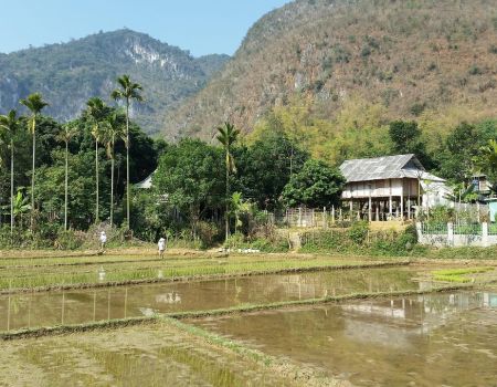 Natuur vietnam